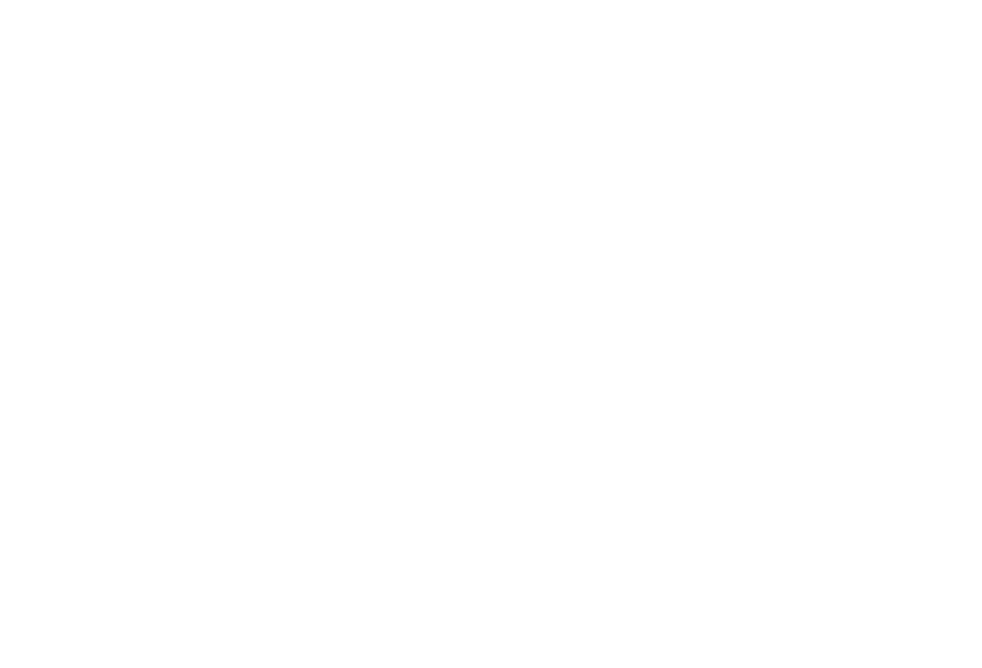 Décor Division Logo
